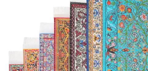 Teppichreinigung Mainz – Professionell & zuverlässig