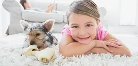 Teppichreinigung Mainz – Professionell & zuverlässig