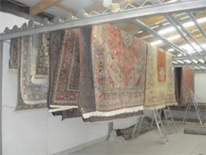 Teppichreinigung Mainz – Professionell & zuverlässig