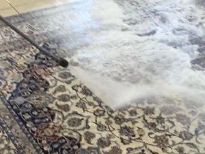 Teppichreinigung Mainz – Professionell & zuverlässig