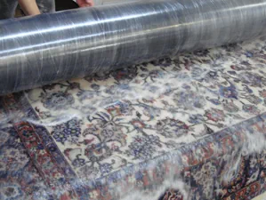 Teppichreinigung Mainz – Professionell & zuverlässig